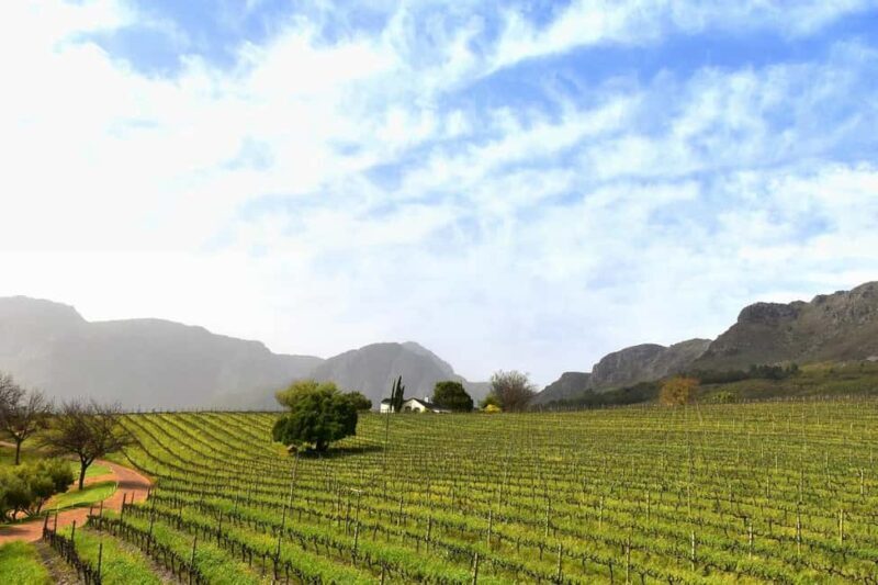 Full Day Winelands Tours - Analyzing the Value