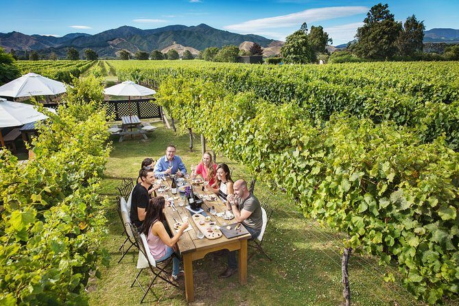 Full Day Winemakers Tour in Marlborough - An In-Depth Look at the Tour Itinerary