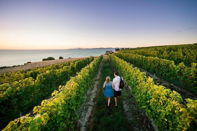 Full Day Winemakers Tour in Marlborough - The Experience from the Traveler’s Perspective