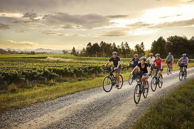 Full Day Winemakers Tour in Marlborough - Final Words