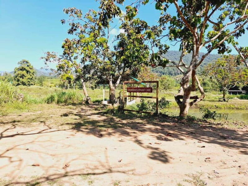 Full-day with CHIANGMAI ELEPHANT CARE and Sticky waterfall - Final Thoughts: Is It a Good Fit?