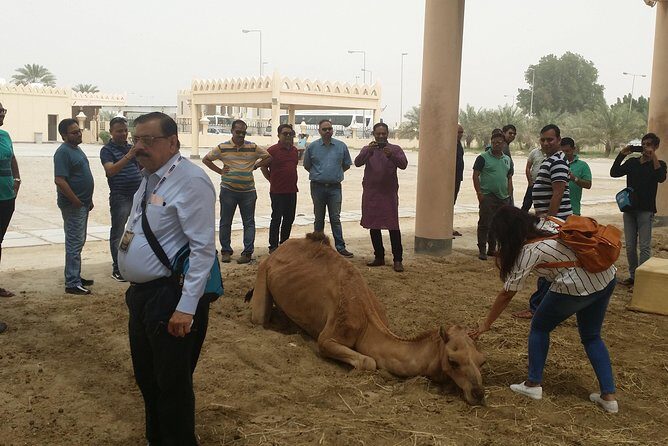 Full Day With Traditional Bahraini Lunch - FAQs