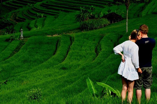 Full Day Wonders of Bali Private Tour with Pickup and Lunch - Exploring Bali in a Day: An In-Depth Look