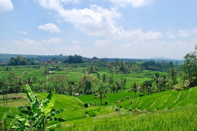 Full Day Wonders of Bali Private Tour with Pickup and Lunch - Practical Insights and Tips for Travelers