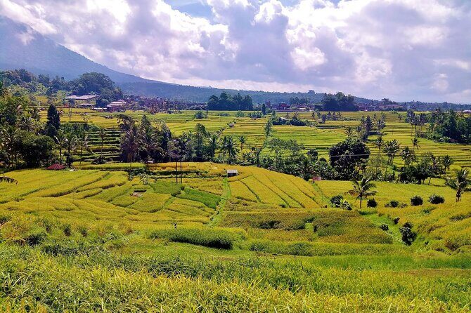 Full Day Wonders of Bali Private Tour with Pickup and Lunch - FAQ