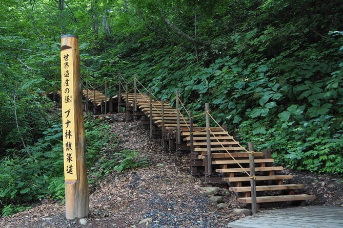 Full Day World Heritage Shirakami Mountains Hiking Tour - Exploring the Full Day World Heritage Shirakami Mountains Hiking Tour