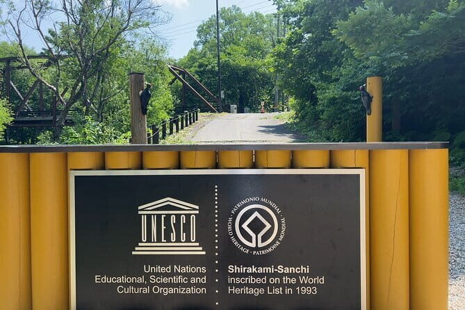 Full Day World Heritage Shirakami Mountains Hiking Tour - An In-Depth Look at the Shirakami Mountains Experience