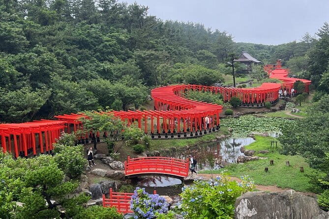 Full Day World Heritage Shirakami Mountains Hiking Tour - The Sum Up