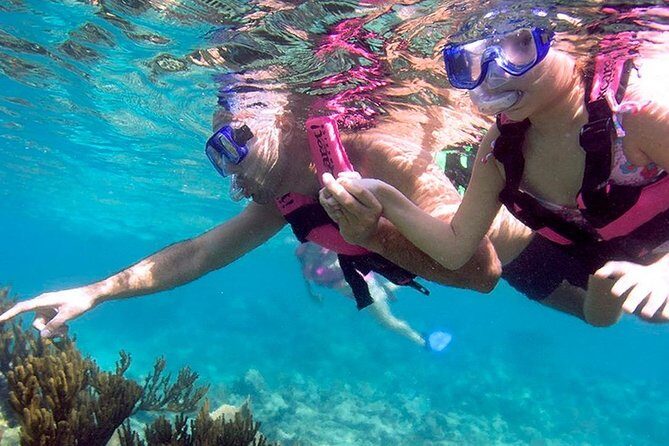 Full day Xcaret Plus & Buffet & from Cancun & Playa del Carmen - FAQ
