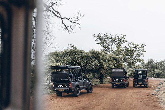 Full Day Yala Safari with Picnic Lunch from Hambantota Harbour - What It Means for You