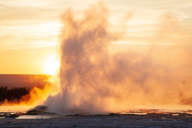 Full Day Yellowstone Nat'l Park Tour from Big Sky - Private Tour - A Deep Dive into the Yellowstone Safari Experience