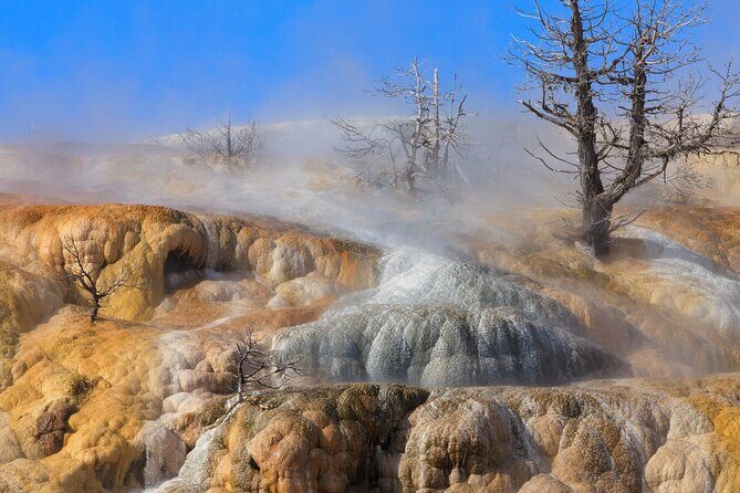Full Day Yellowstone Nat'l Park Tour From West Yellowstone - Why This Tour Offers Great Value