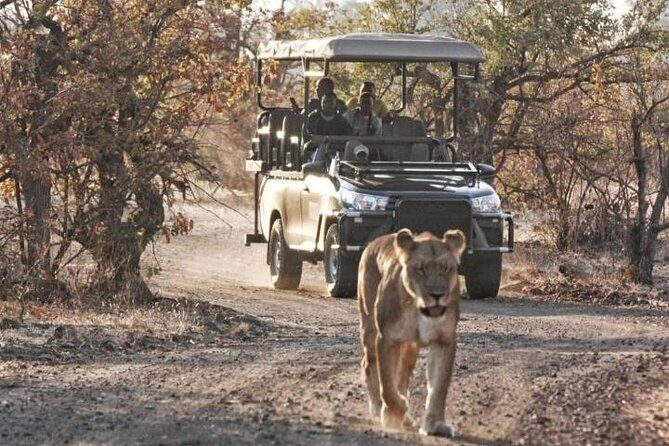 Full-Day Zimbabwe Zambezi National Park Safari & Lunch - Detailed Review of Pros and Cons