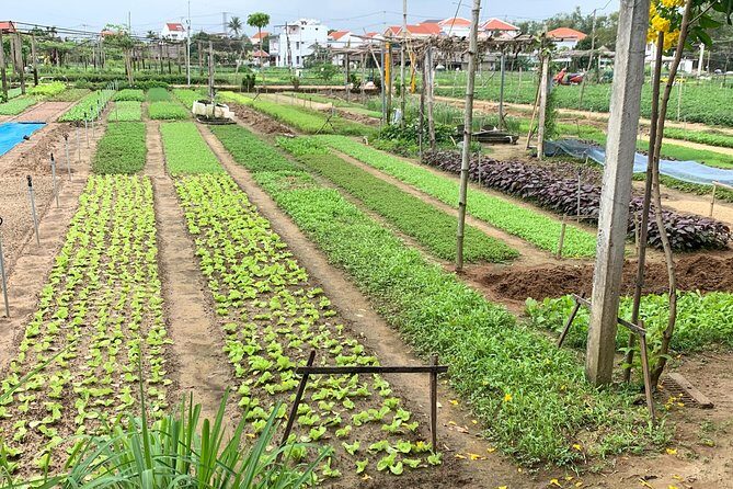 Full Experience Tour: Cooking Class & Basket Boat at Eco-Village - An In-Depth Look at the Full Experience Tour