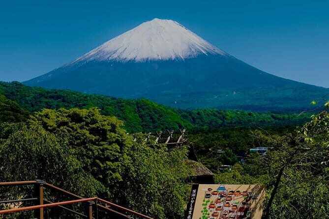 Full Guided Mt. Fuji & Shiba-Sakura Festival One Day Pvt.Tour - Key Points