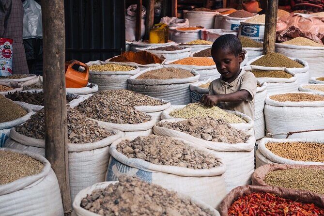 Full & Half Day City Tour Of Addis Ababa - Who Should Consider This Tour?