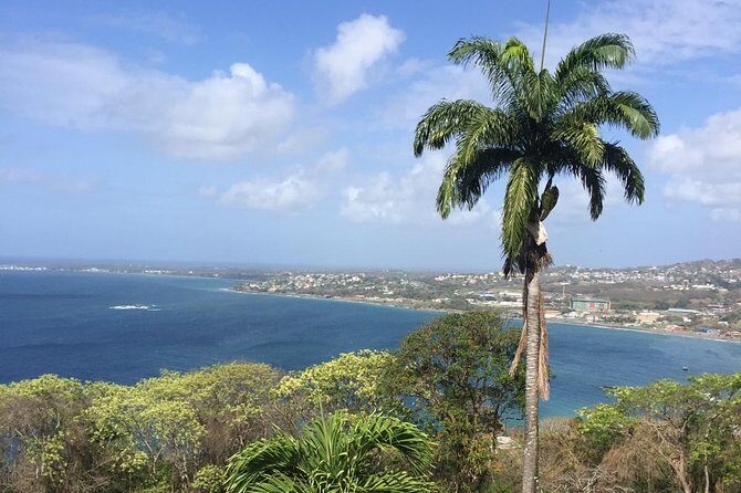 Full Island Tour (Including Lunch & Snorkeling) - A Practical Look at Terrys Tobago Full Island Tour