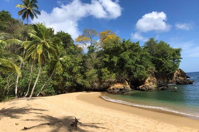 Full Island Tour (Including Lunch & Snorkeling) - What Travelers Say: Authentic Experiences
