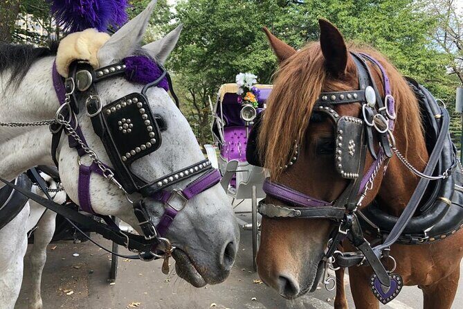 Full loop Private Horse Carriage Ride in Central Park 45 Minutes - Why a Horse Carriage Ride Through Central Park is Worth Consideration