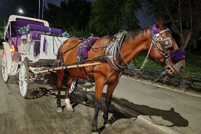 Full loop Private Horse Carriage Ride in Central Park 45 Minutes - Value for Money