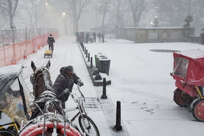 Full loop Private Horse Carriage Ride in Central Park 45 Minutes - Booking and Practical Tips