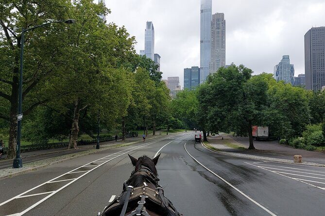 Full loop Private Horse Carriage Ride in Central Park 45 Minutes - The Sum Up