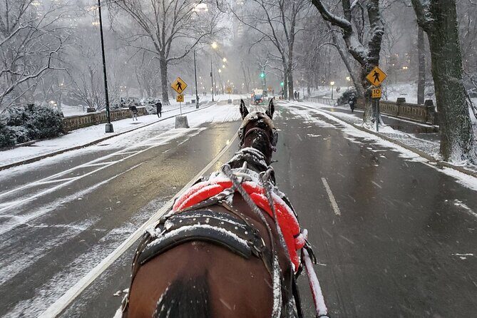 Full loop Private Horse Carriage Ride in Central Park 45 Minutes - FAQs