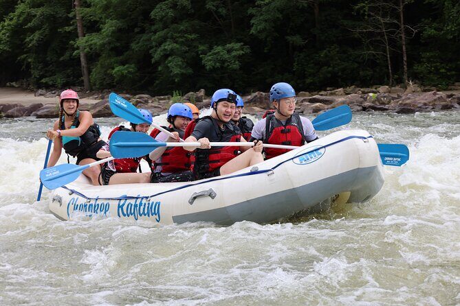 Full Ocoee River Rafting Adventure With Catered Shore Lunch - Who Will Love This Tour?
