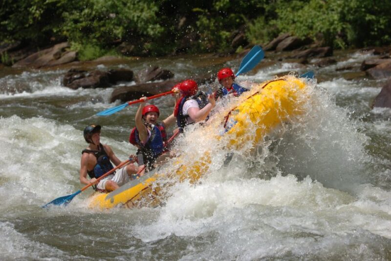 Full Ocoee River Whitewater Trip with Riverside Lunch - Who Should Consider This Trip?