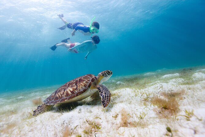 Full or Half Day Private Power Catamaran- USVI Beach and Snorkel - An In-Depth Look at the Experience