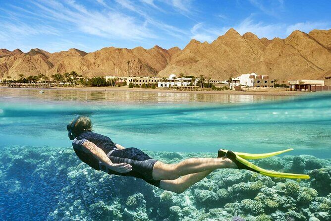 Full Relaxing Day To The Red Sea From Cairo Or Giza Hotel - A Scenic and Relaxing Escape from Cairo