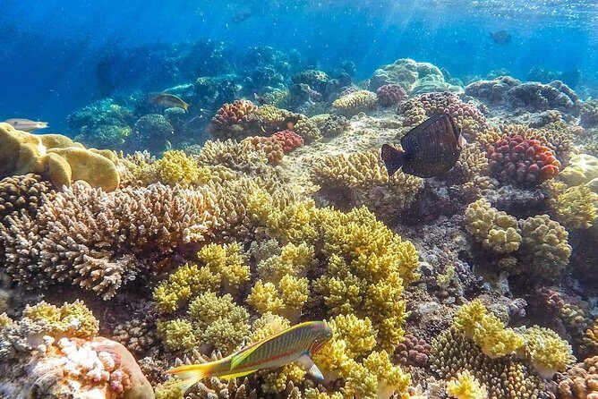 Full Relaxing Day To The Red Sea From Cairo Or Giza Hotel - Final Thoughts