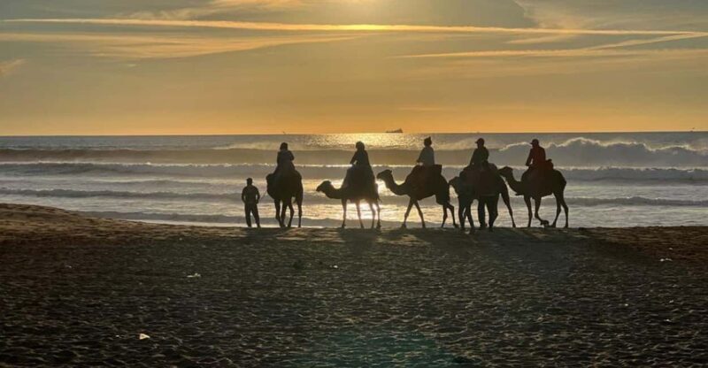 Full Tanger complete tour + camel ride + food + transport - Key Points