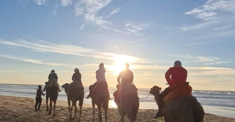 Full Tanger complete tour + camel ride + food + transport - Practical Details and Value