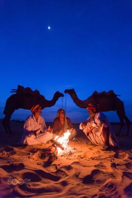 Fullday pushkar tour from jaipur with guid+camel/jeep safari - Who Should Consider This Tour?