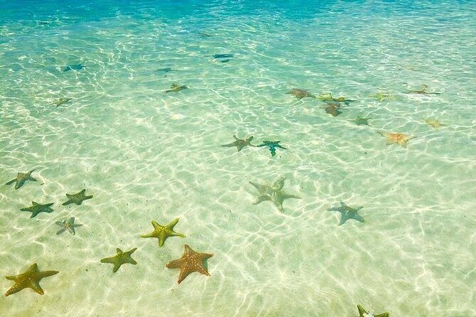 Fullday trip to Pungume and Uzi Island for Snorkeling and more - FAQs
