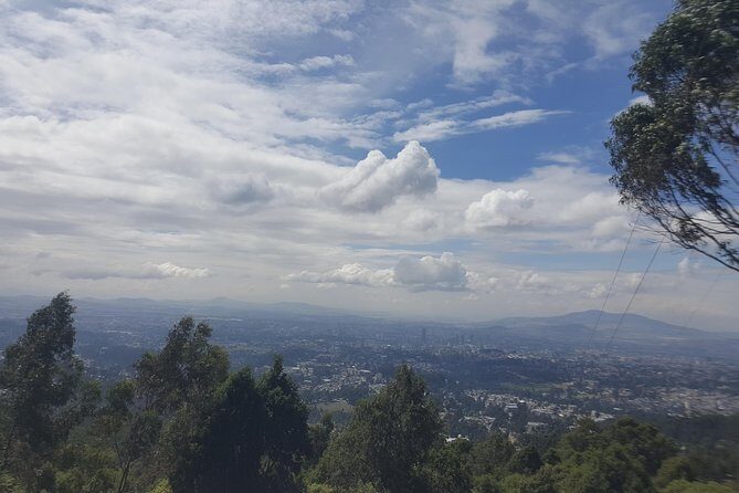 Fullday VIP Tour to The Unity Park, Friendship Park, Entoto park - Summary: Is This Tour Worth It?
