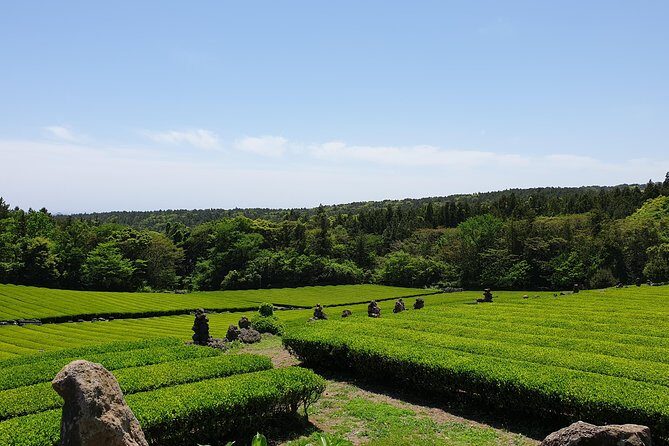 Fully Customizable Private Tour of Jeju Island - FAQ