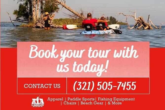 Fully Guided Kayaking Backwater Manatee and Dolphin Tour - An In-Depth Look at the Tour Experience