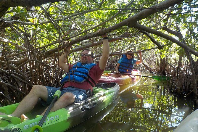 Fully Guided Kayaking Backwater Manatee and Dolphin Tour - Frequently Asked Questions