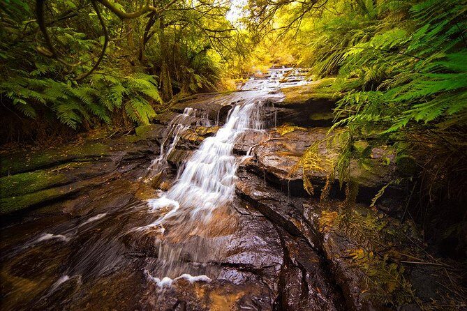 Fully Inclusive Blue Mountains Private Tour inc Scenic World & Featherdale Entry - Final Thoughts