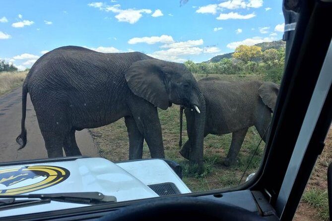 Fully inclusive Pilanesberg safari from Johannesburg - FAQ
