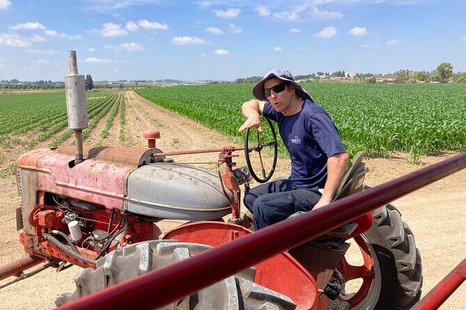Fully Inclusive The Israeli Kibbutz Experience - A Close Look at the Kibbutz Tour Experience