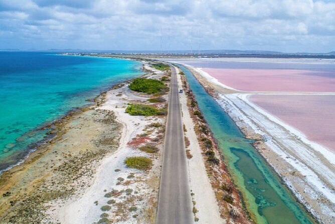 Fully Private North and South Tour with a Local Guide. - A Deep Dive into the Bonaire Private Tour