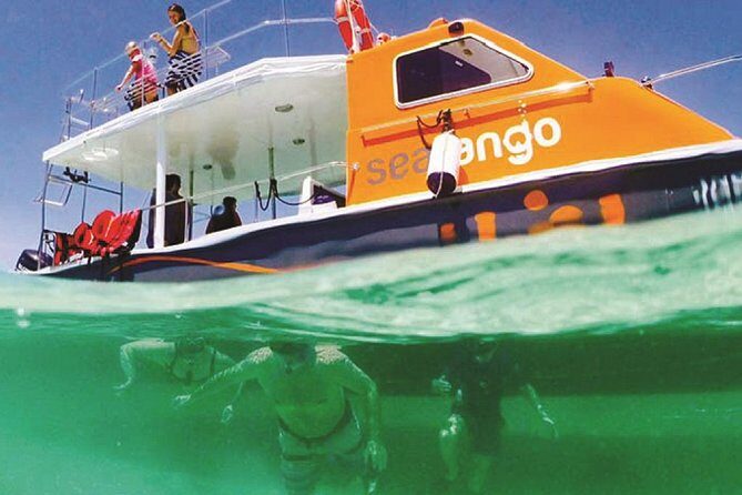 Fun Boat Snorkeling and Island Visit from Kota Kinabalu - The Itinerary: What to Expect