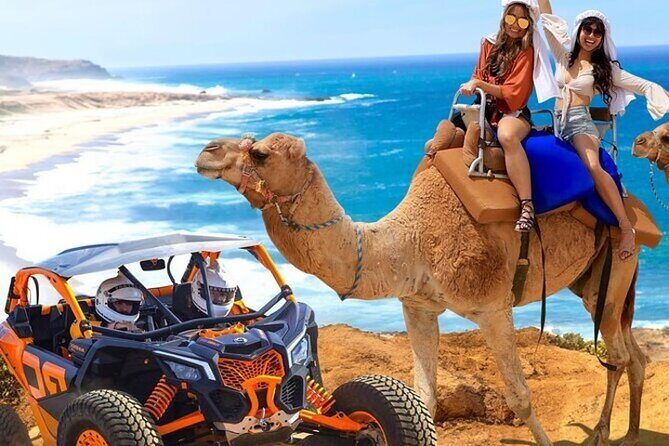 Fun Camel Ride and UTV COMBO with Tequila Tasting! - Key Points
