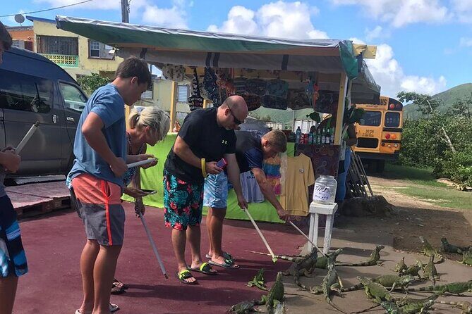 FUN DAY St.Maarten Island Sightseeing Tour with Beach - What the Tour Includes and Why It Matters