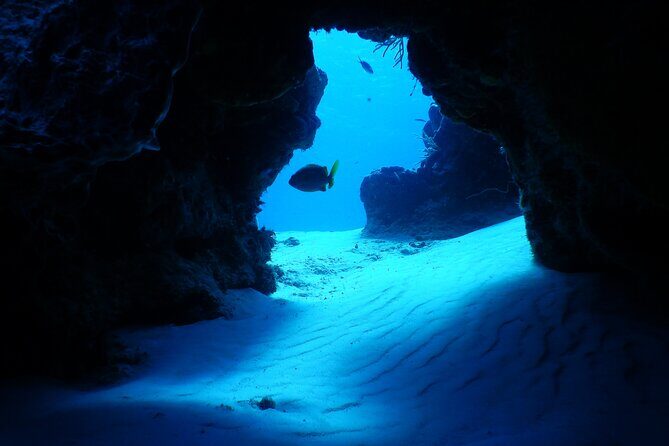 Fun dives Cozumel south marine park - An In-Depth Look at the Fun Dives Cozumel South Marine Park Tour
