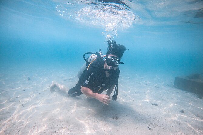Fun Dives For Certified Divers - An In-Depth Look at the Tour Experience