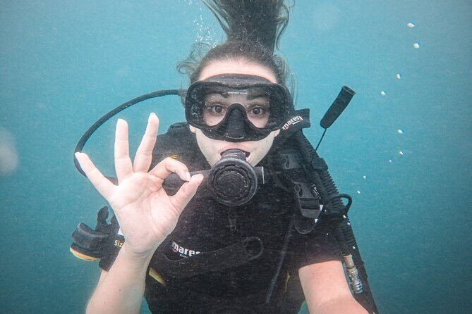 Fun Dives For Certified Divers - The Sum Up